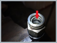 Worn Oring